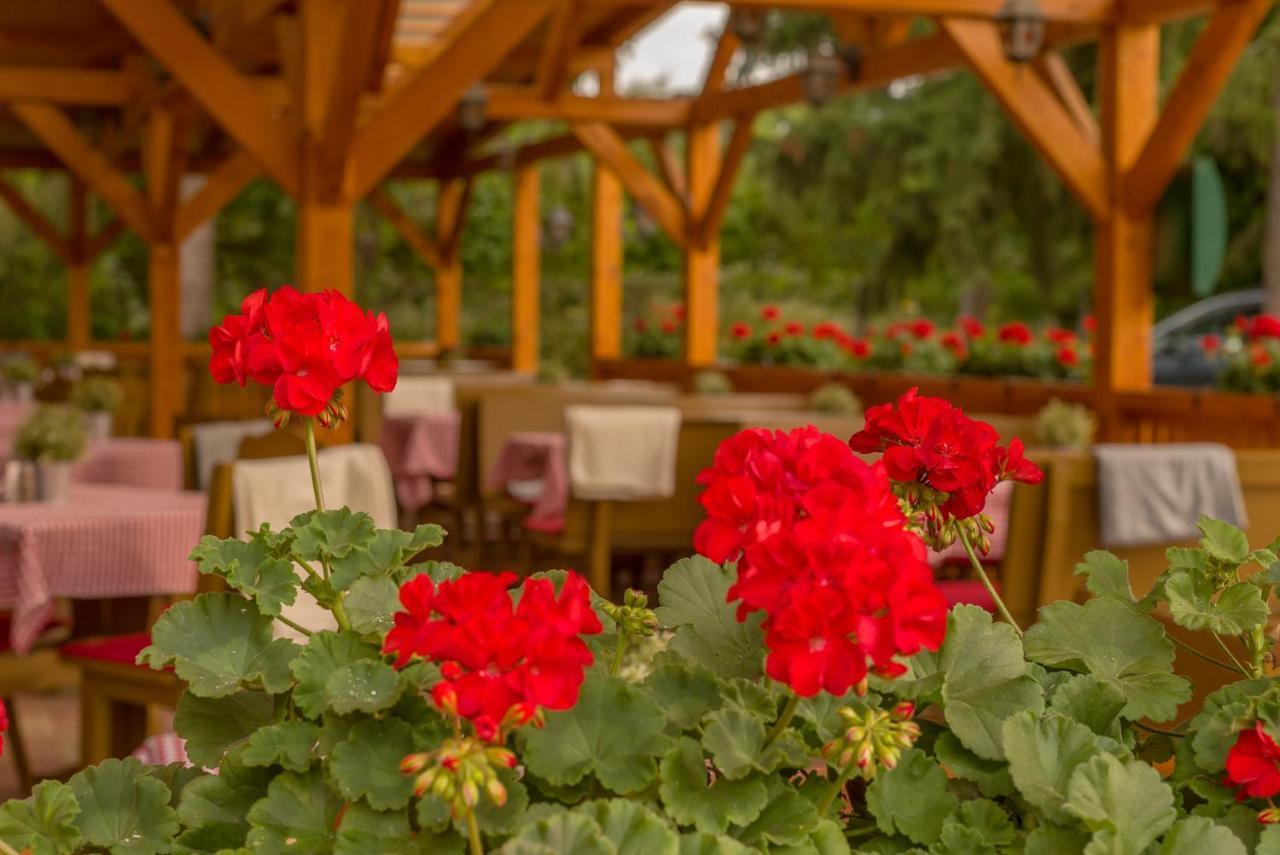 Lipicai Hotel Es Etterem Szilvásvárad Exteriör bild